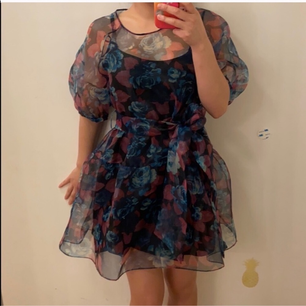 Zara voluminous organza dress